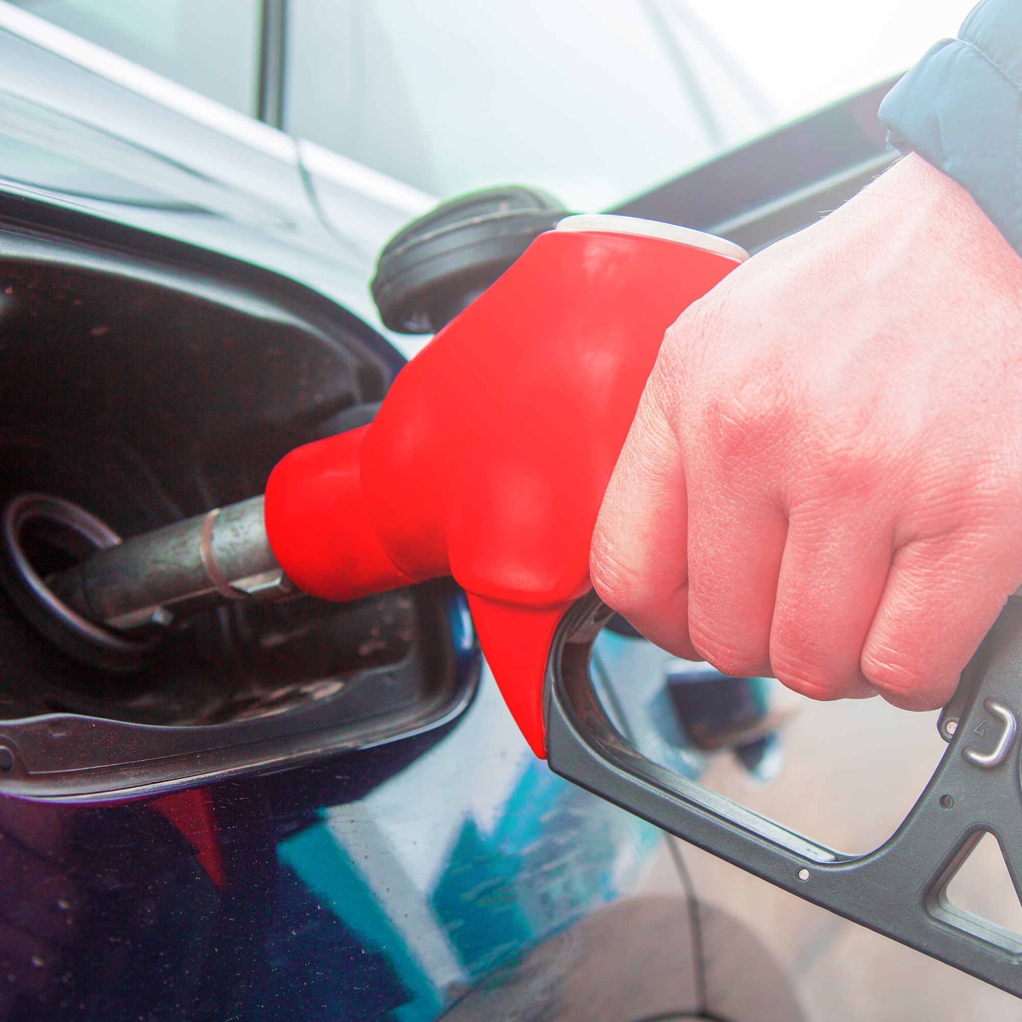 Descripción de la imagen 2