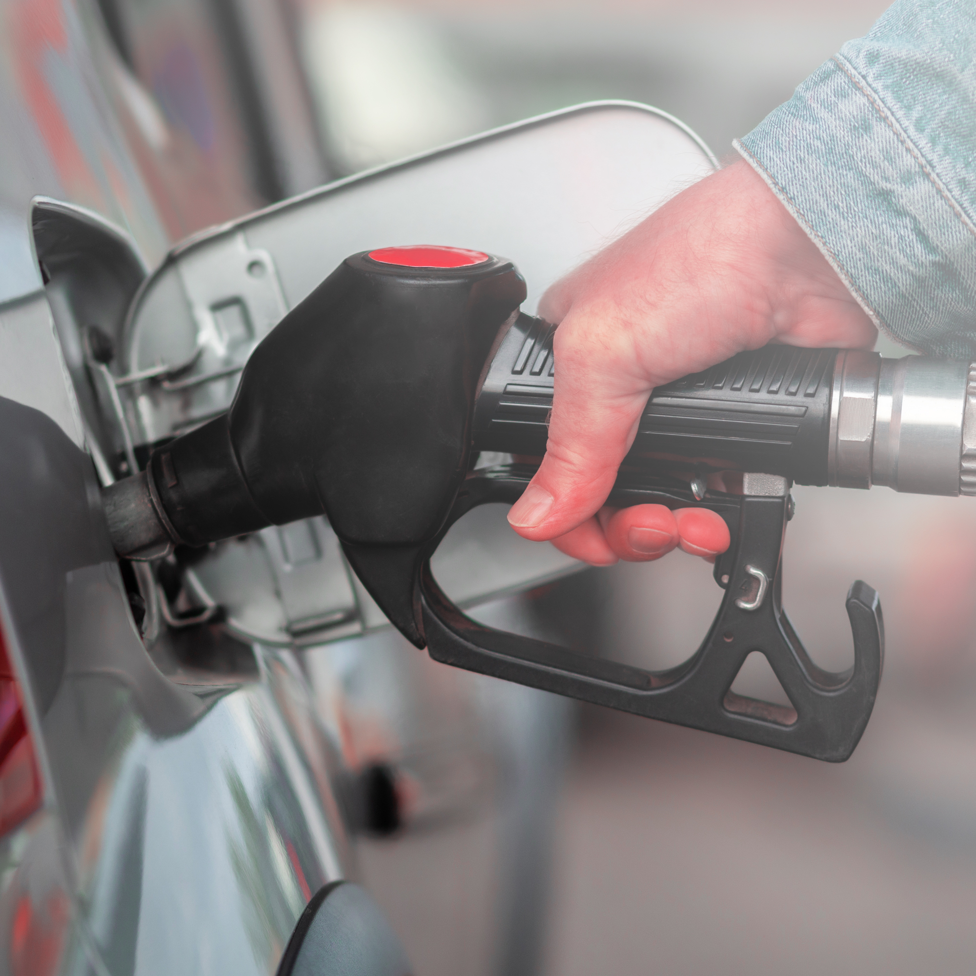 Descripción de la imagen 3