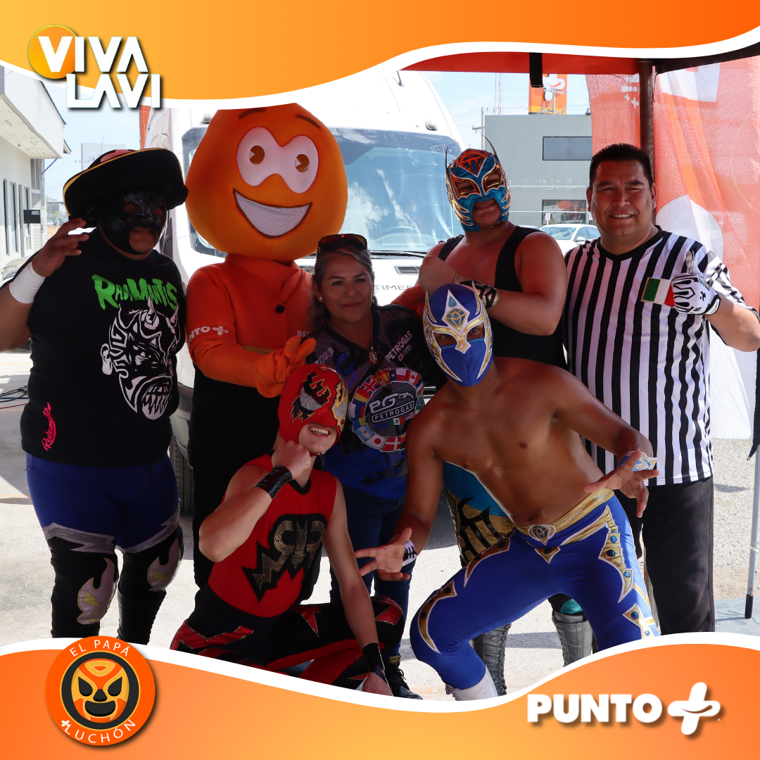 Imagen de la publicación