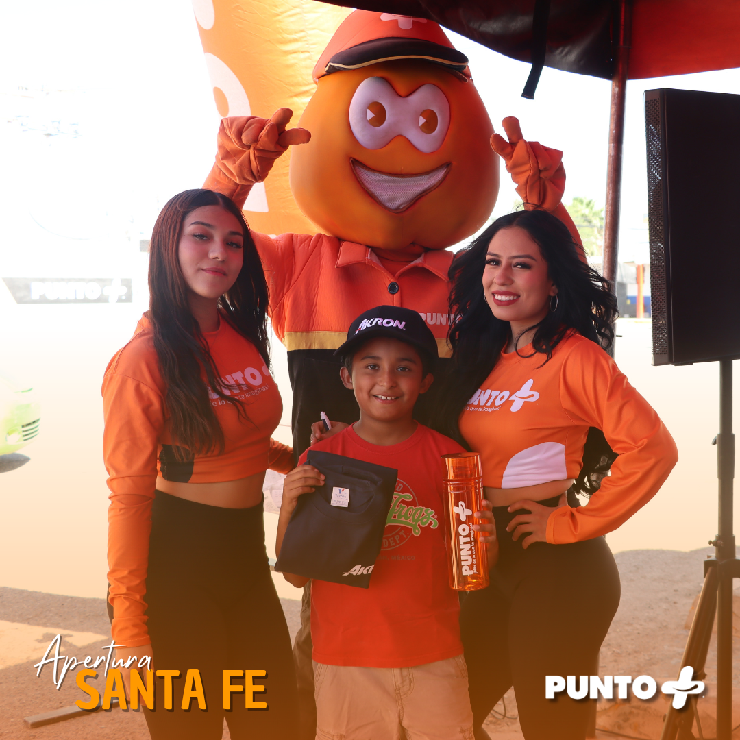 Imagen de la publicación